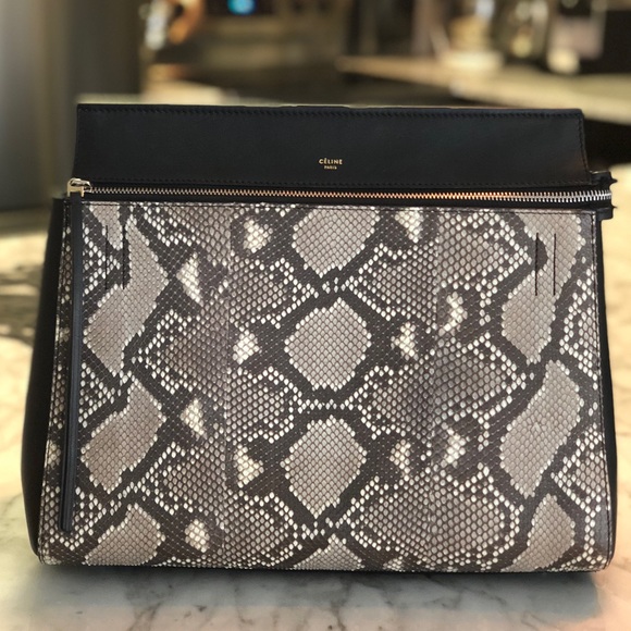 Celine python satchel - Picture 1 of 8